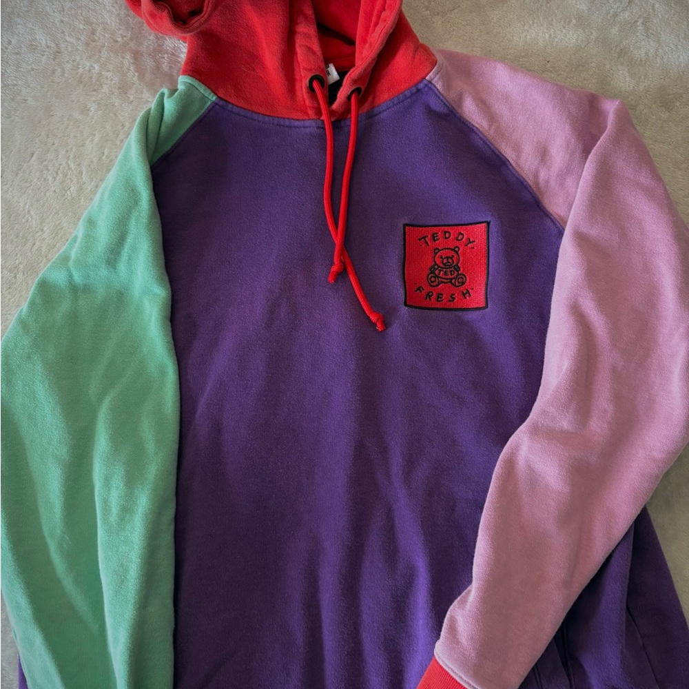Teddy Fresh Multicolor Hoodie with Logo Patch